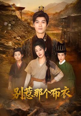 别惹那个布衣(全集)