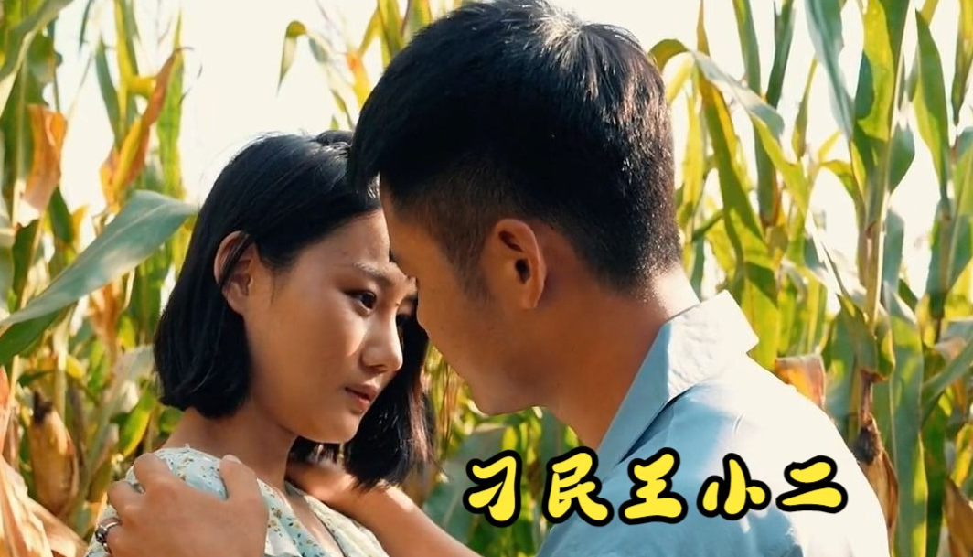 刁民王小二第22集