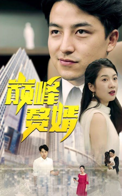 巅峰赘婿第28集