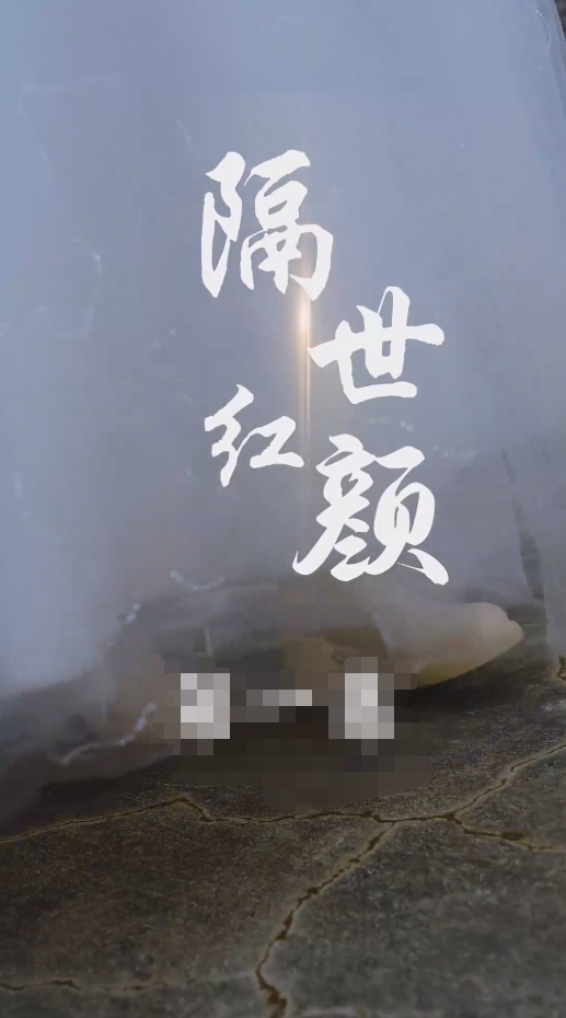 隔世红颜第56集