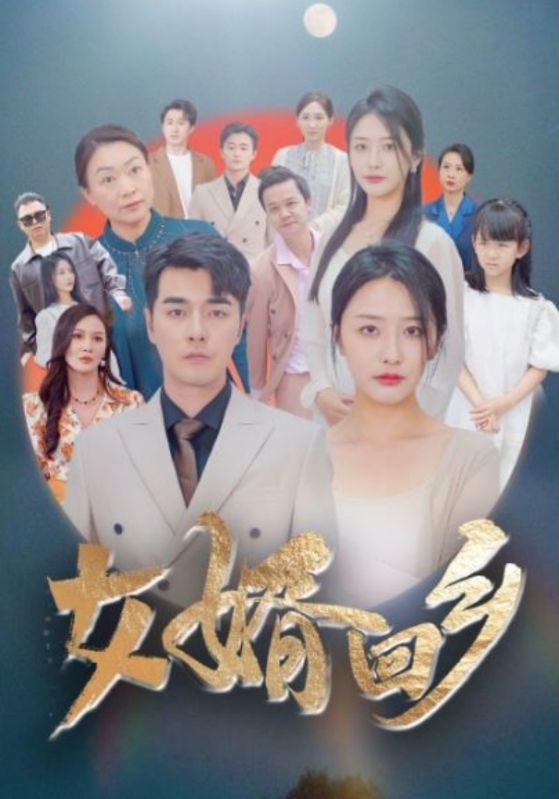 女婿回乡第35集
