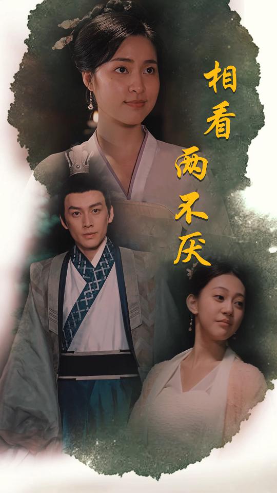 相看两不厌第30集