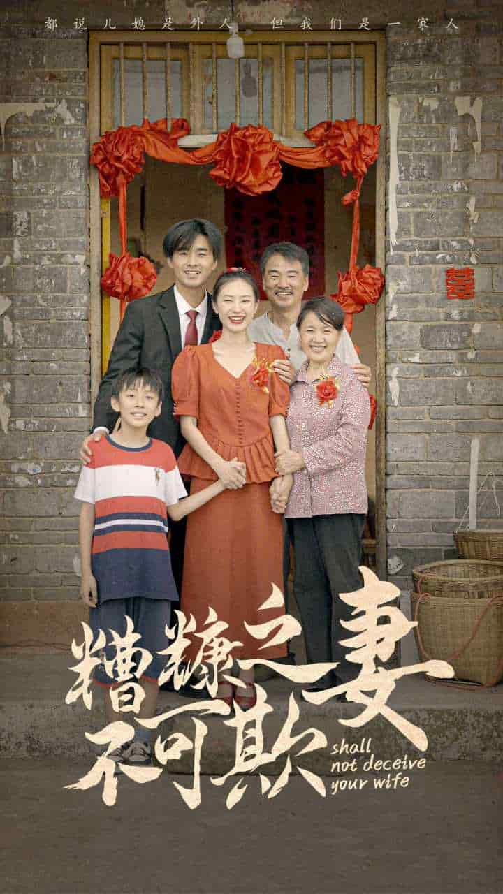 糟糠之妻不可欺第48集