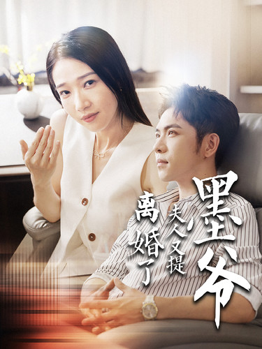 墨爷夫人又提离婚了第26集