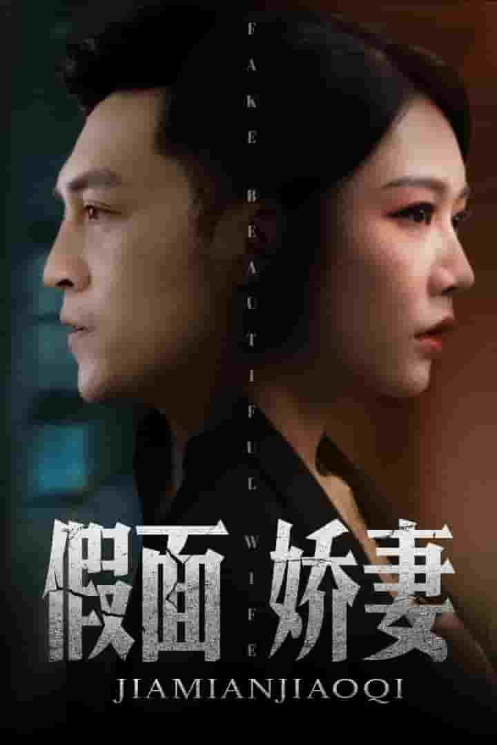 娇妻的谎言第54集