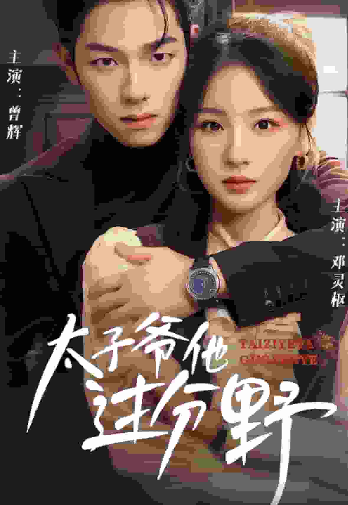 他过分野第17集