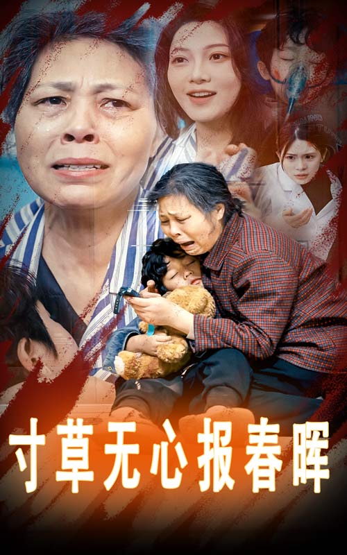 寸草无心报春晖第5集