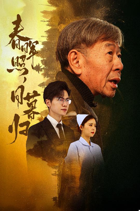 春晖照日暮归第11集