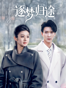 逐梦归途第22集