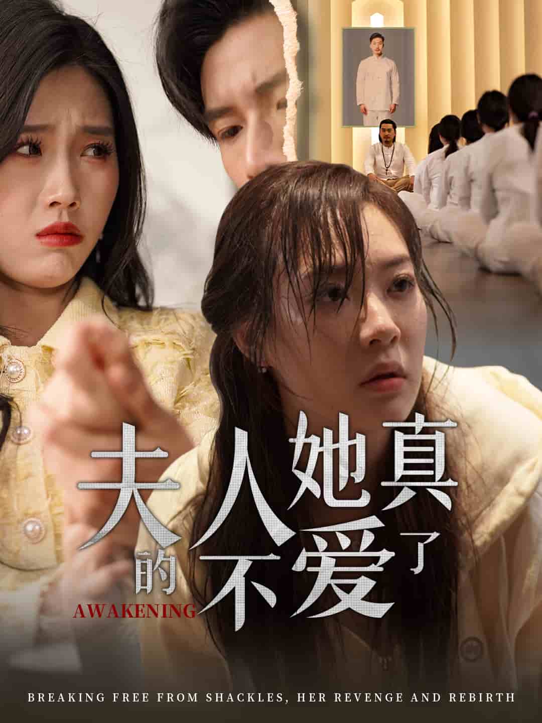 夫人她真的不爱了第10集