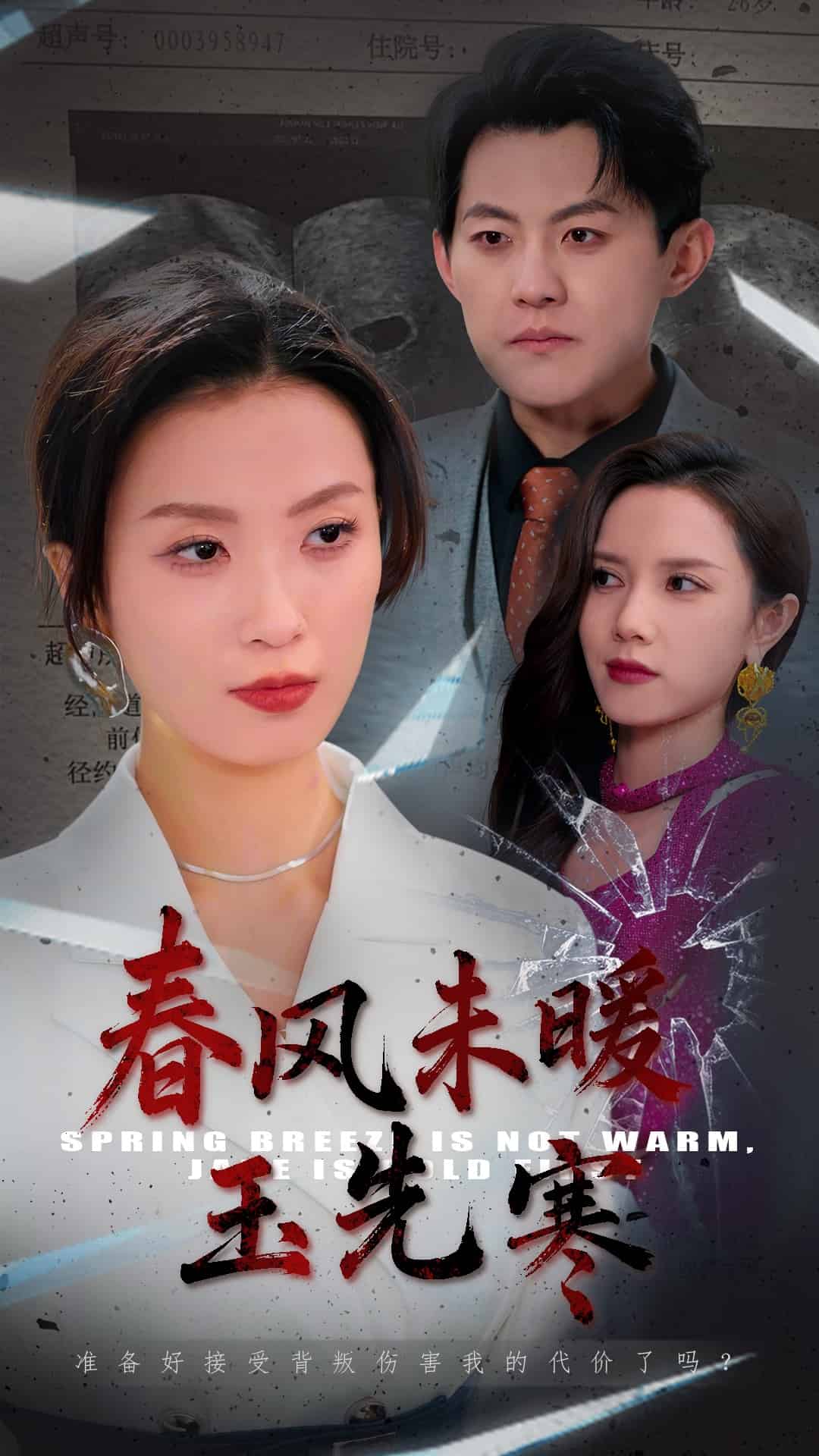春风未暖玉先寒第13集