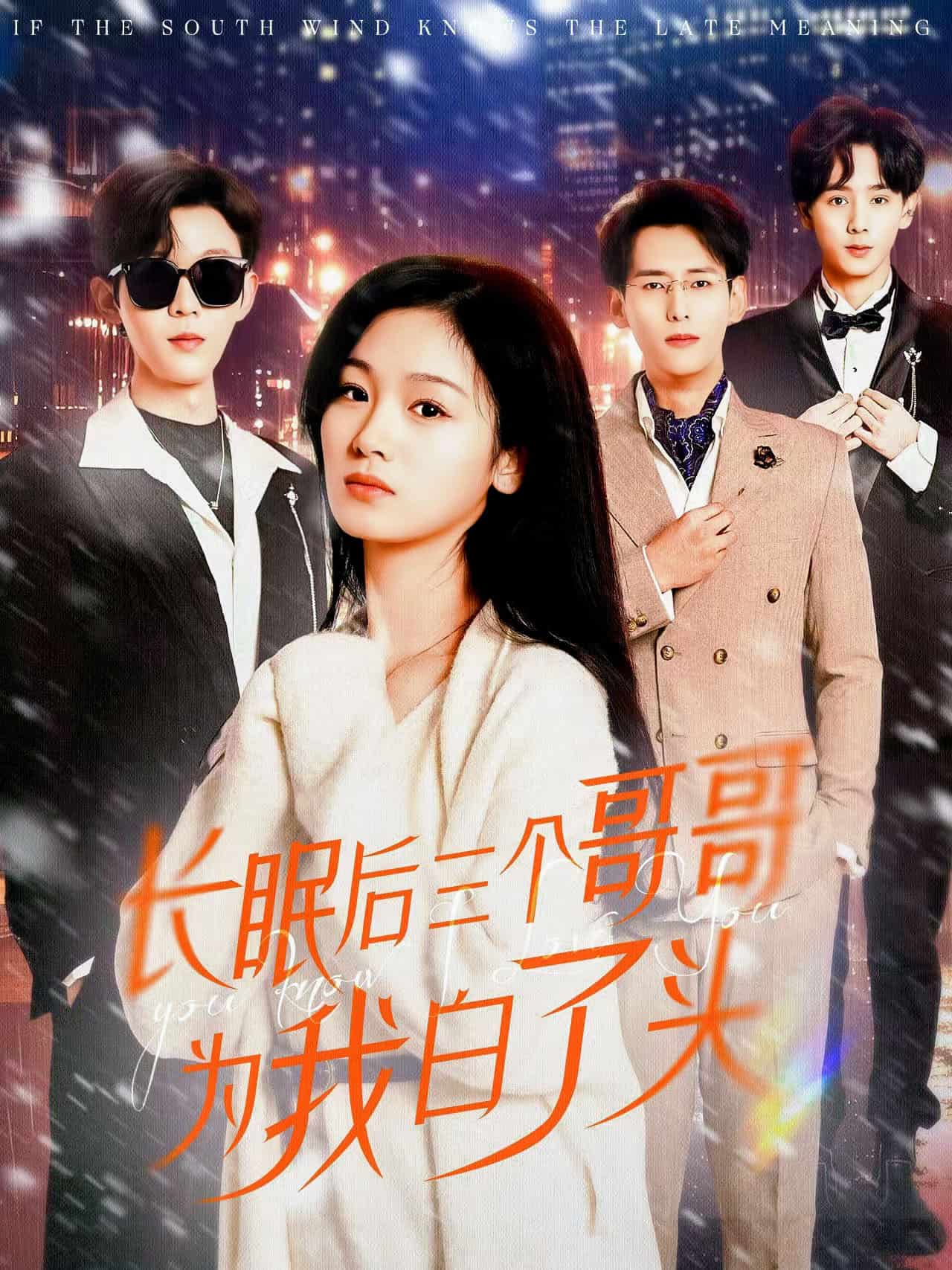 长眠后三个哥哥为我白了头第1集