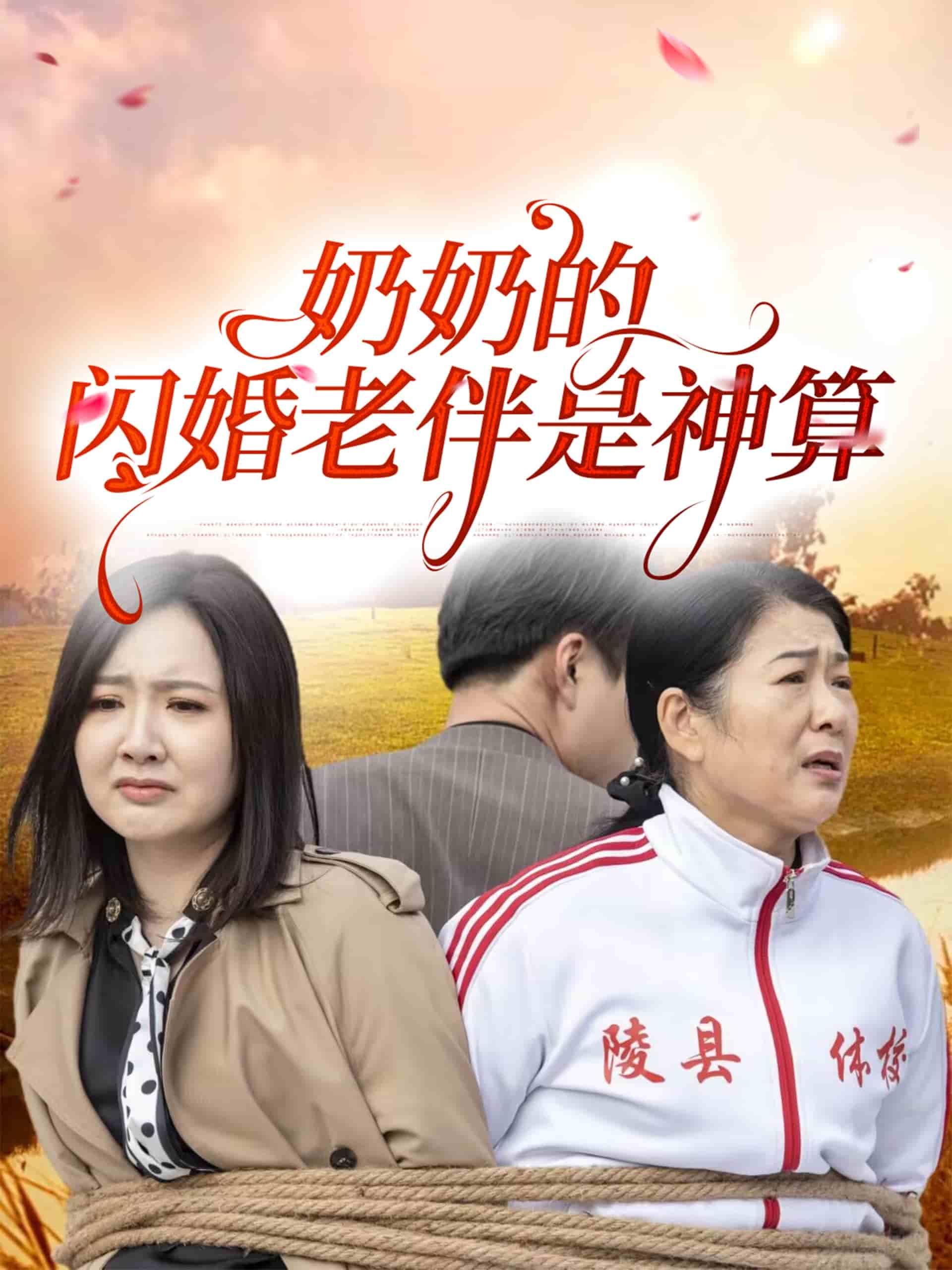 奶奶的闪婚老伴是神算第12集