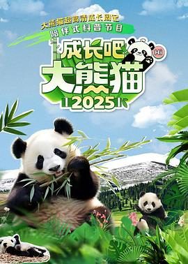 成长吧！大熊猫2025第15集