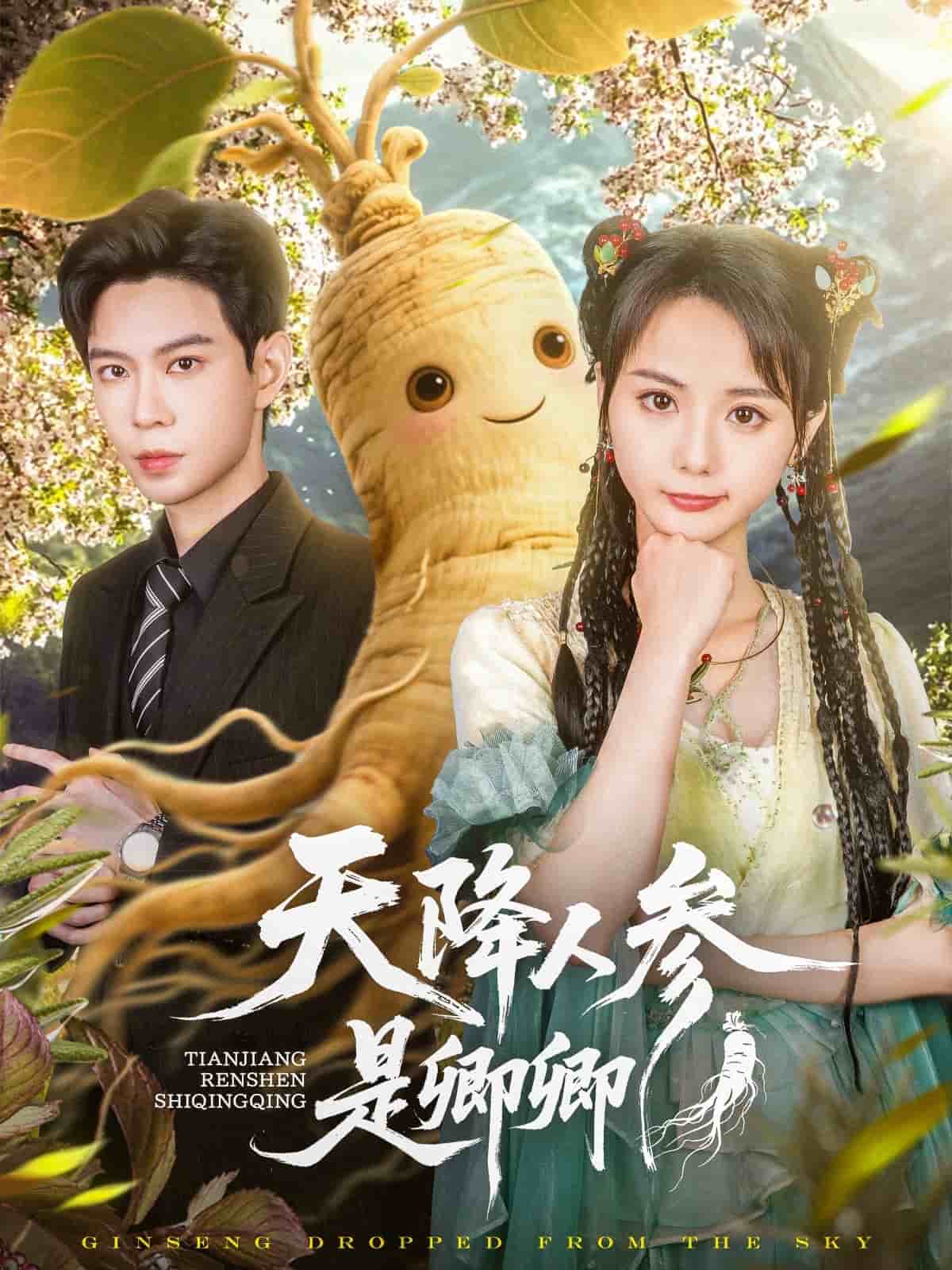 天降人参是卿卿第20集
