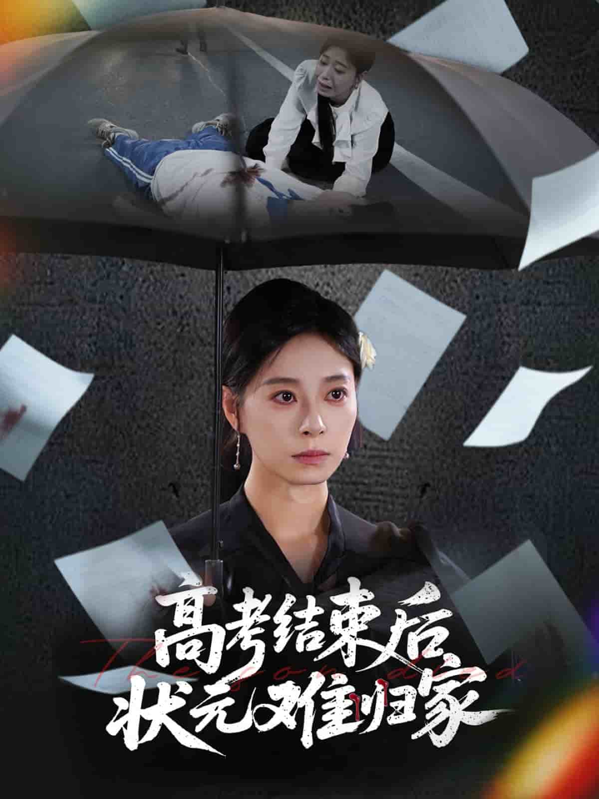 高考结束后状元难归家第33集