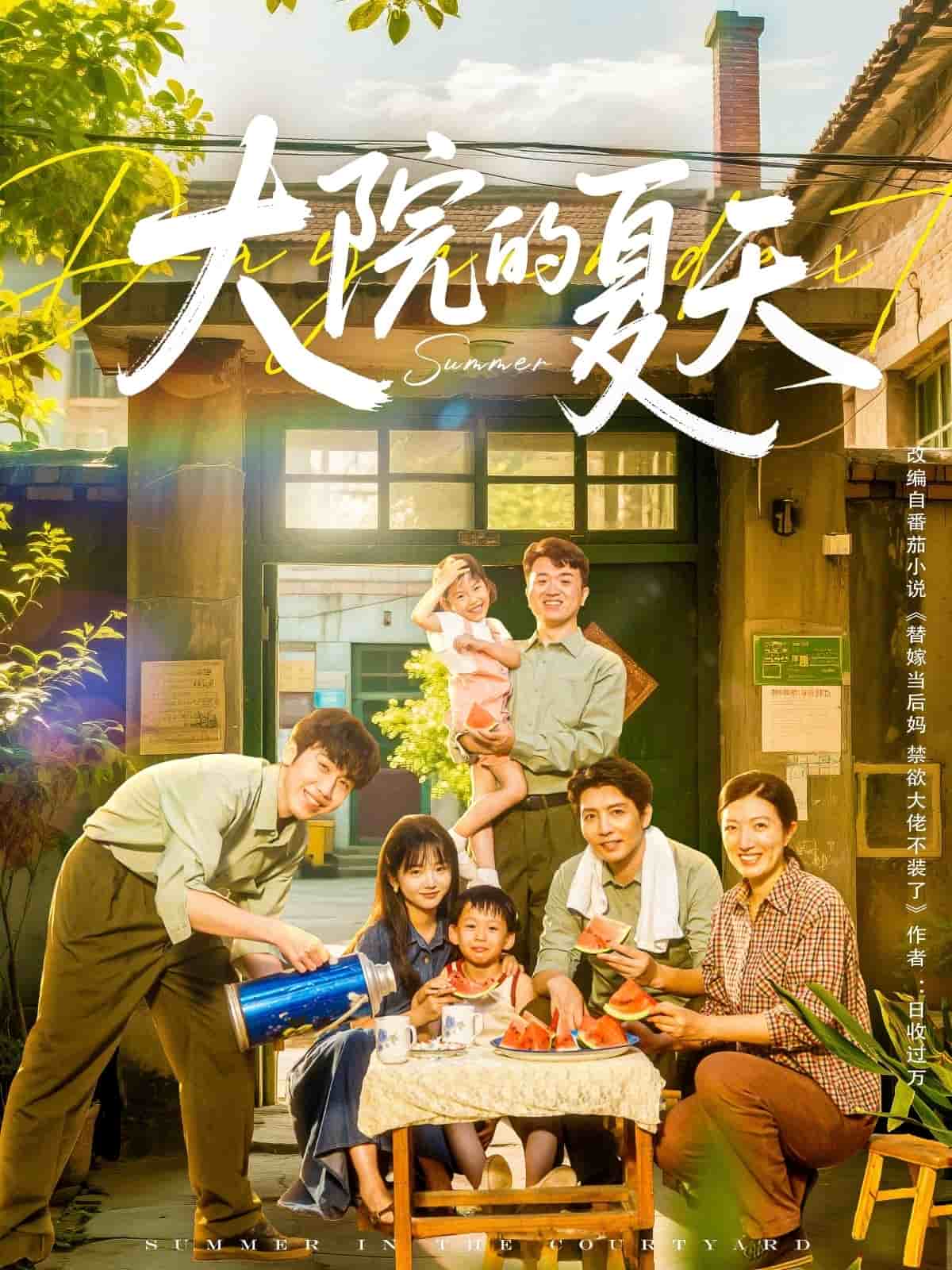 大院的夏天第7集