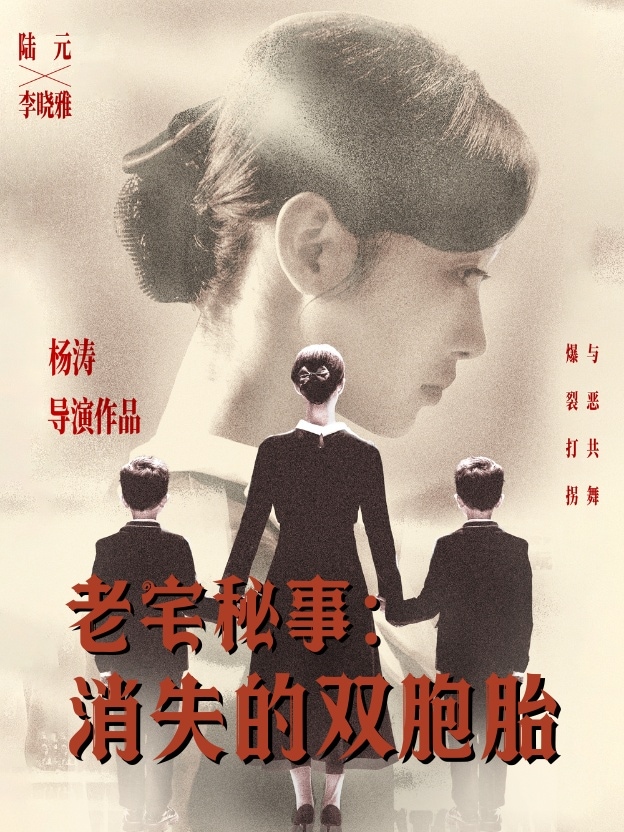 老宅秘事消失的双胞胎第79集