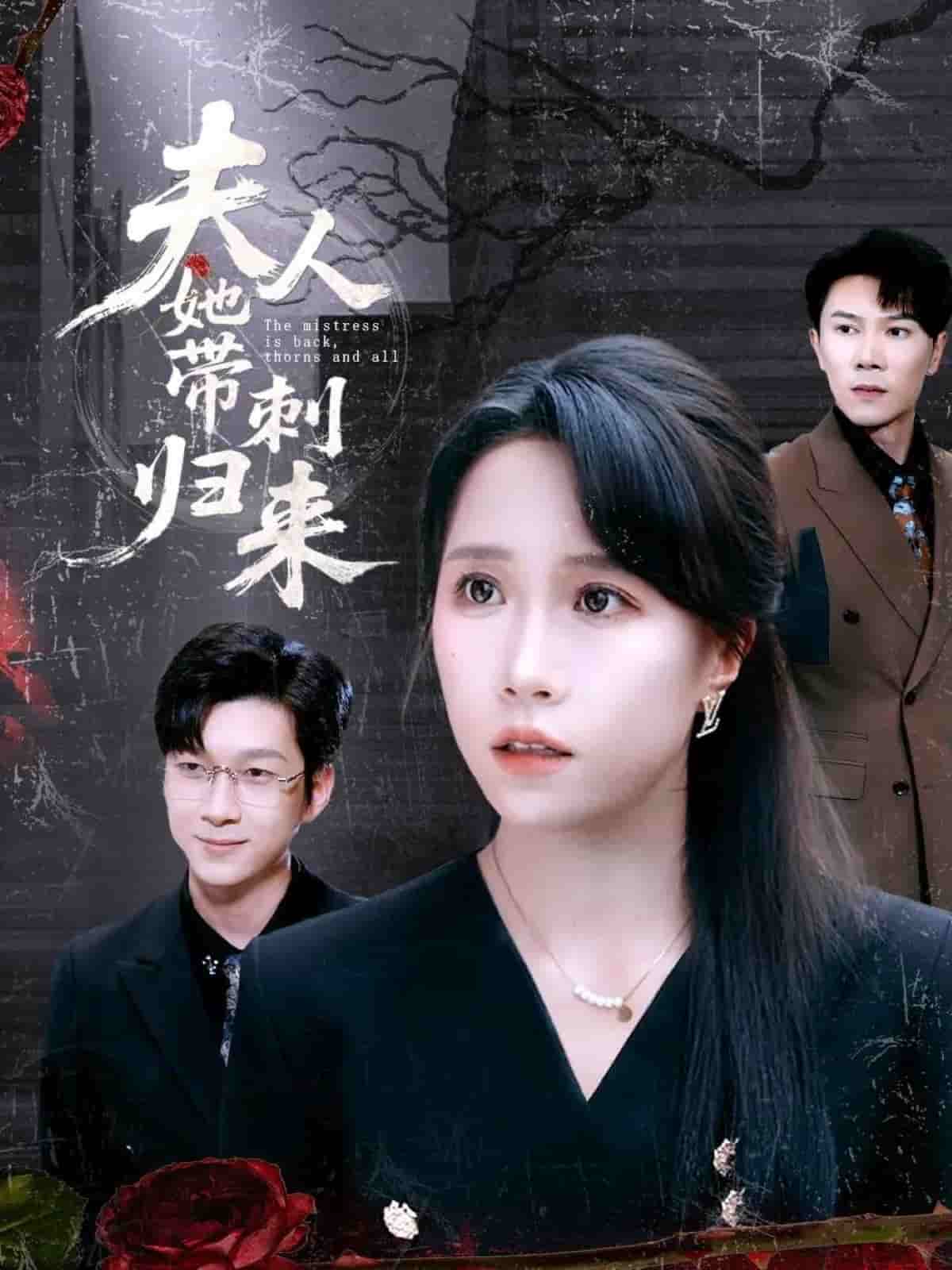 夫人她带刺归来第14集