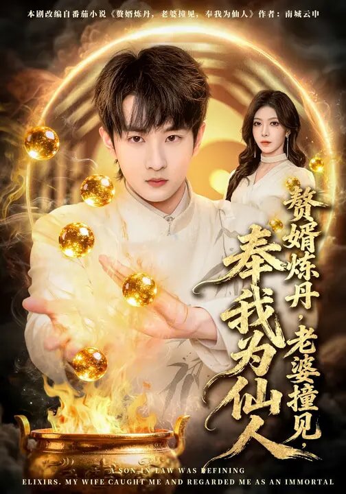 赘婿炼丹，老婆撞见，奉我为仙人第35集