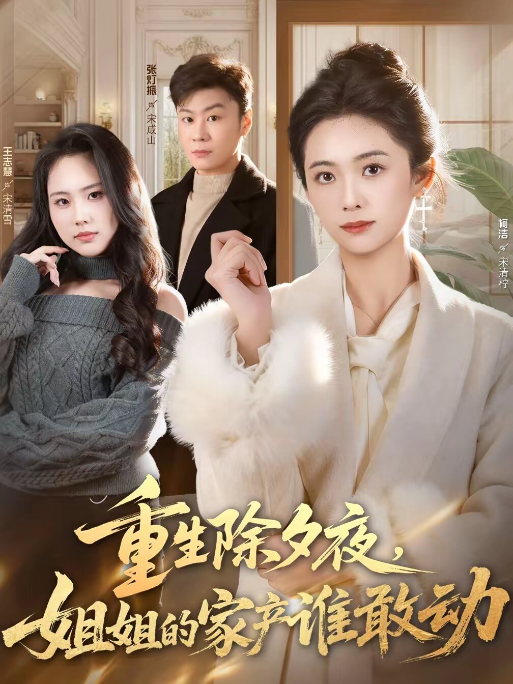 重生除夕夜，姐姐的家产谁敢动第01集