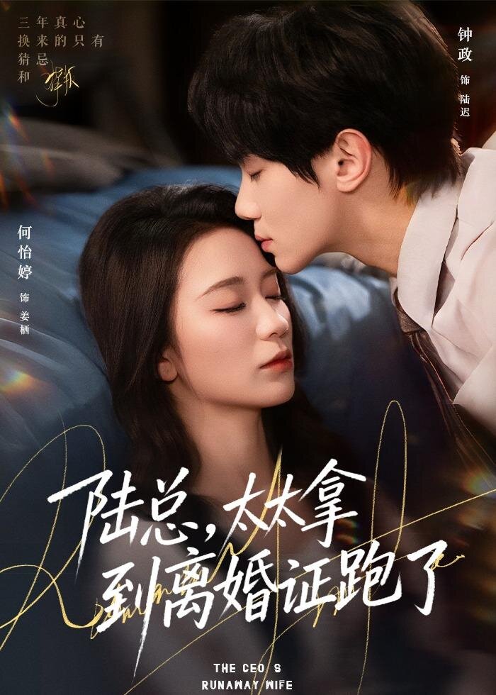 陆总，太太拿到离婚证跑了第15集
