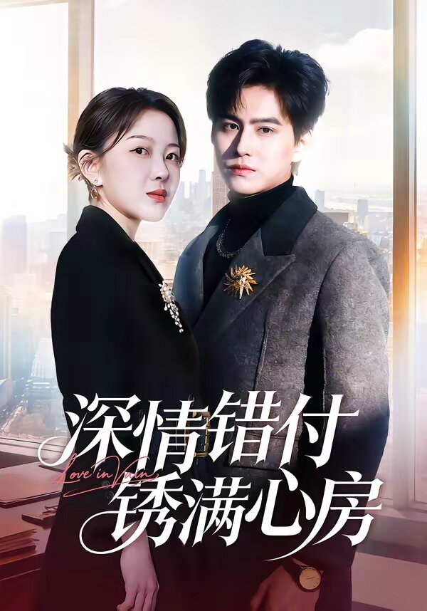 深情错付锈满心房第28集