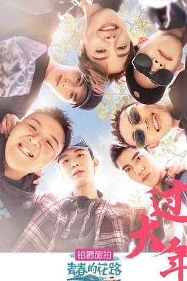 青春的花路第08上