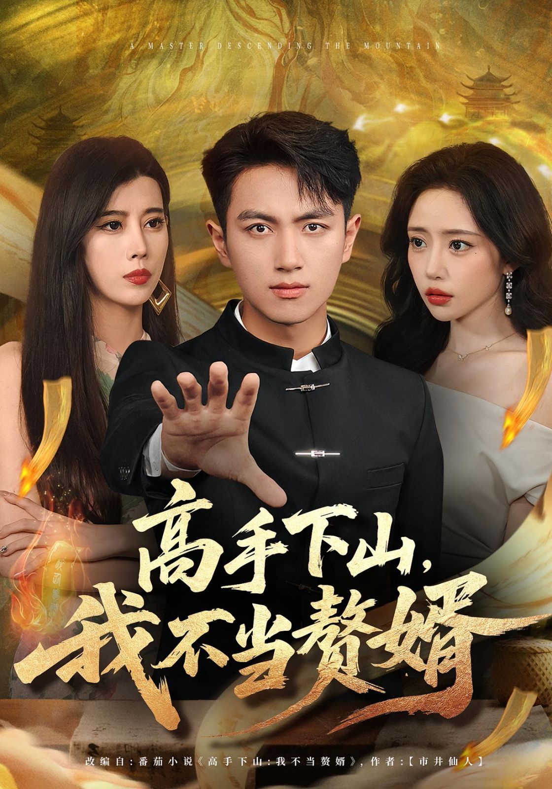 高手下山我不当赘婿(全集)
